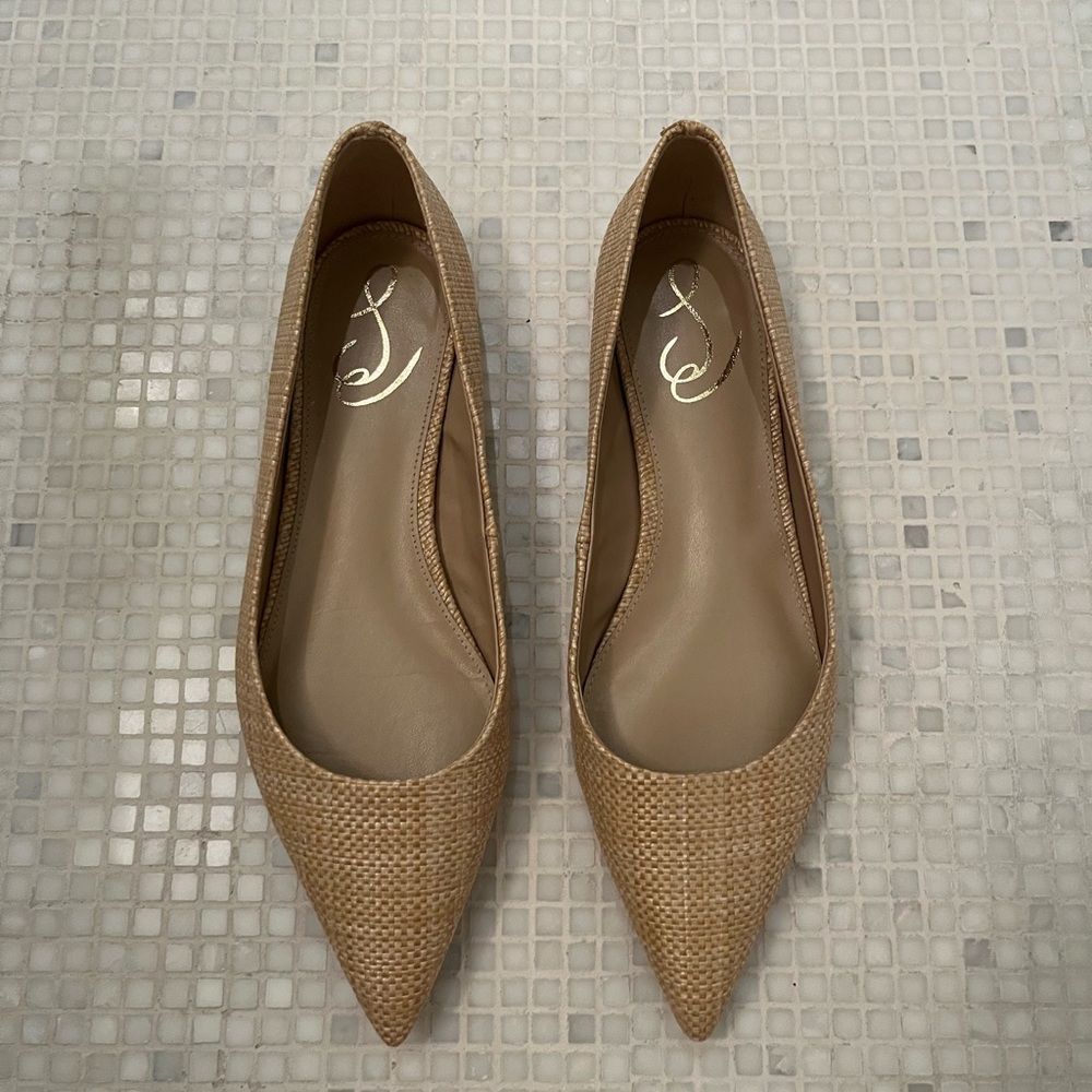 Sam Edelman Wanda Pointed Toe Flat